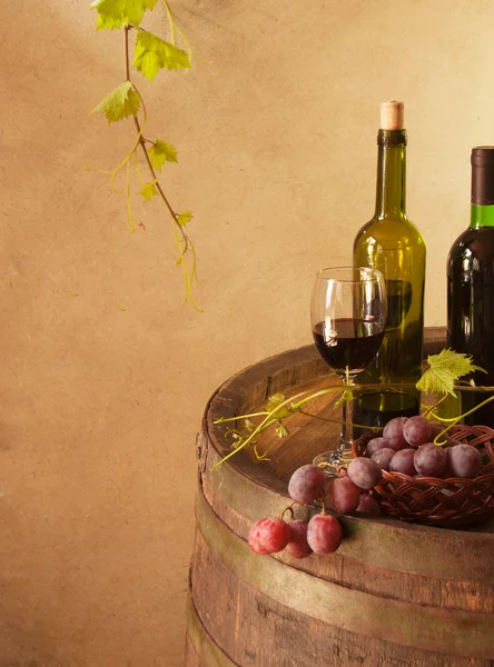 Natura morta con botte di vino, uva e vite — Foto Stock
