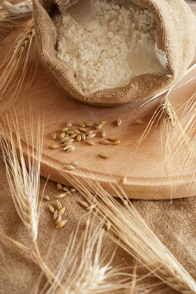 Wheat & Meal — Stock Photo, Image