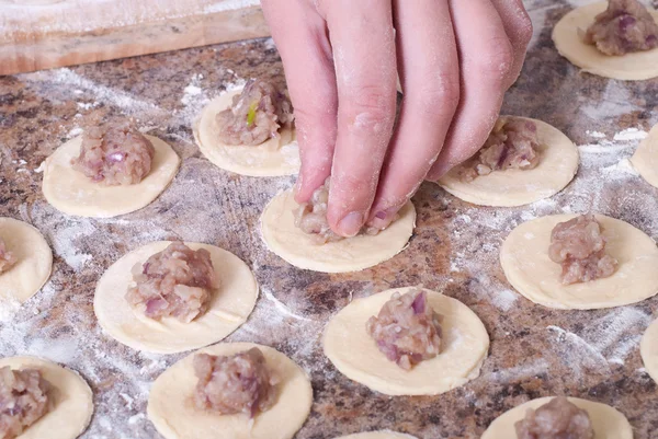 Meat dumplings — Stock Photo, Image