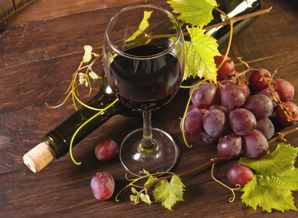 Wine — Stock Photo, Image