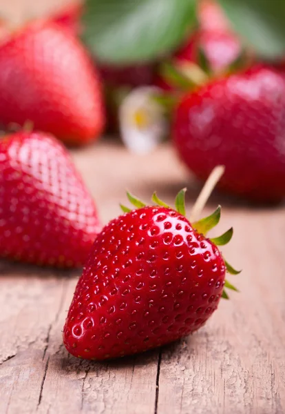 Erdbeeren — Stockfoto