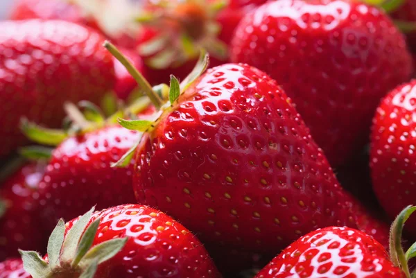 Erdbeeren — Stockfoto