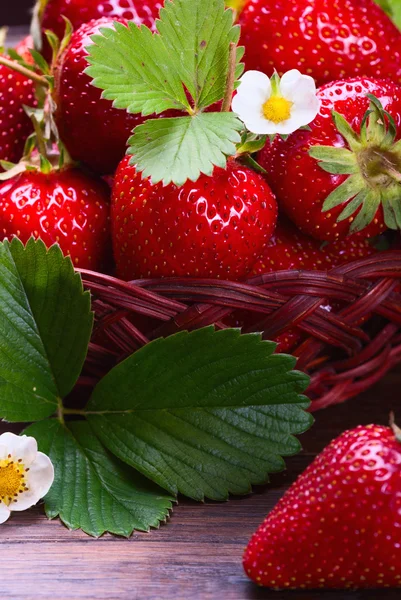 Erdbeeren. — Stockfoto