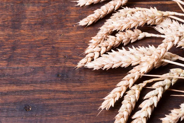 Wheat background — Stock Photo, Image