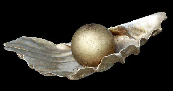 Metallic yellow pearl on metal shell — Stock Photo, Image