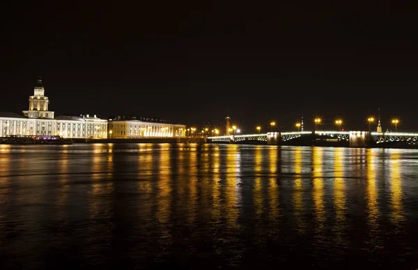 Дворцовый мост — стоковое фото
