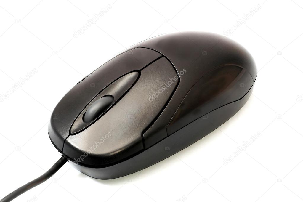 Mouse of computer isolated on white