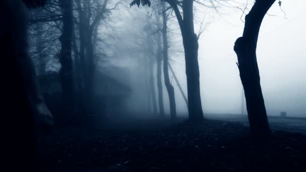 Silhouette féminine dans la forêt brumeuse 