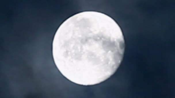 Luna llena — Vídeo de stock
