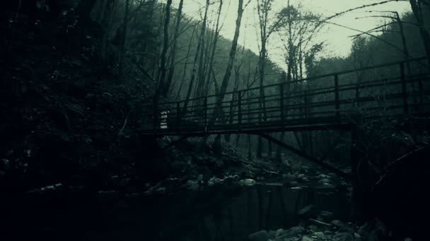 霧深い森の橋を歩いて白いドレスの謎のホラー女性 — ストック動画