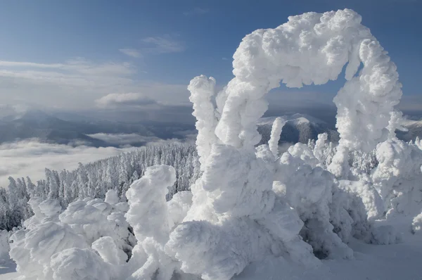 Winterkunst — Stockfoto