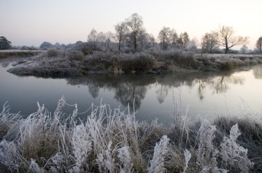 frost ile sonbahar sabahı