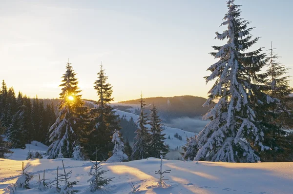 Solnedgången på vintern — Stockfoto