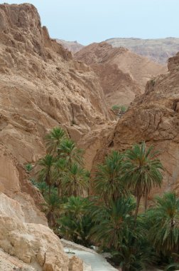 Oasis kayaların arasında