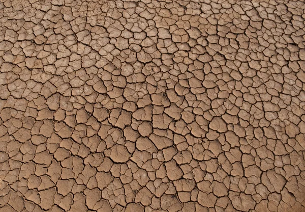 乾燥した地面のテクスチャ — ストック写真