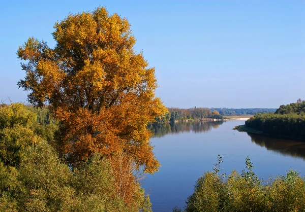 Złota jesień — Zdjęcie stockowe