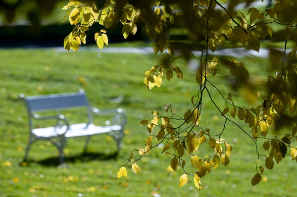 Podzimní krajina s bílým lavička — Stock fotografie