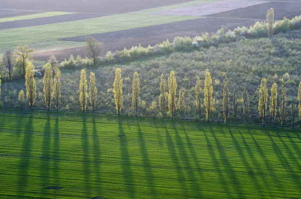 Paisaje primavera — Foto de Stock