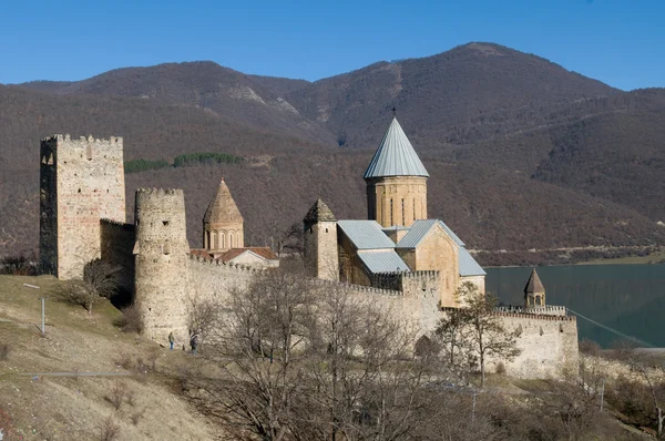 Burg Ananuri — Stockfoto