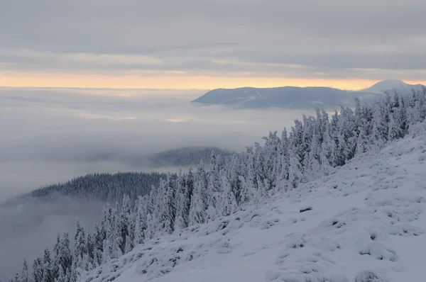 Espectáculo encantador en las montañas de invierno — Foto de Stock