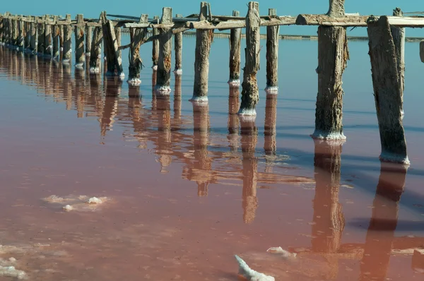 View of salt lake — Stock Photo, Image