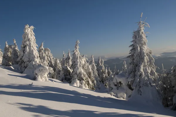 Härlig vinter — Stockfoto