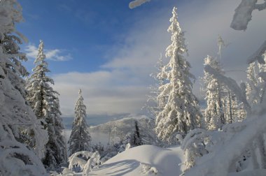 majestic winter day
