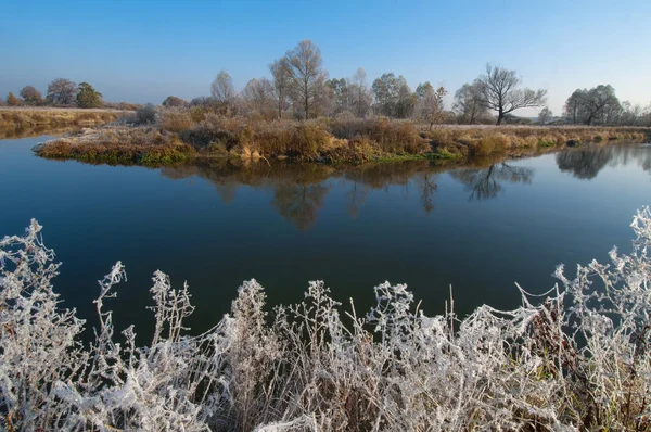 Sabah frost ile düşmek — Stok fotoğraf