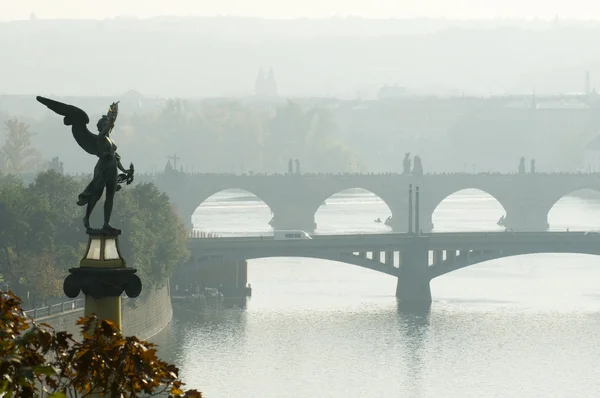 Oude Praag — Stok fotoğraf