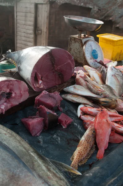 Рибний ринок - Азія — стокове фото