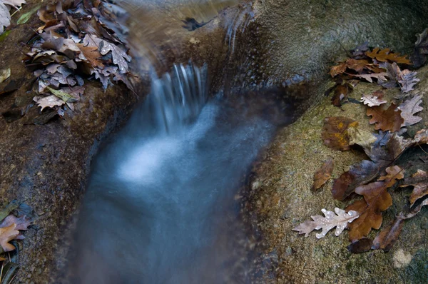 Autumn leaves in the stream — Stock Photo, Image