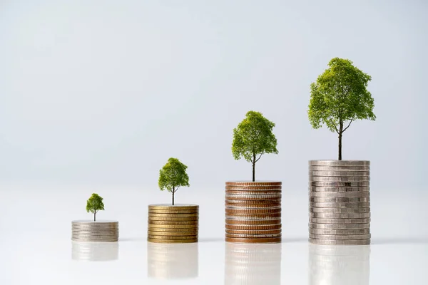 Money coin stack growing graph and a tree that grows on a pile of money, The idea of business finance and saving money investment and Growing Money, Tree growing up on coins