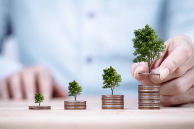 Para basma grafiği ve bir yığın paranın üzerinde büyüyen bir ağaç işletme finansmanı fikri ve para biriktirme yatırımı ve büyüyen para, bozuk paralarla büyüyen ağaç.
