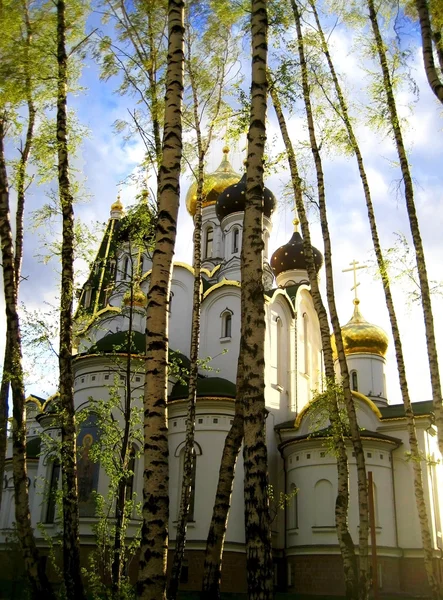 Gereja Rusia di hutan birch — Stok Foto