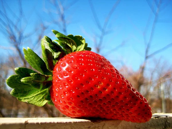 在窗口上的草莓 — 图库照片