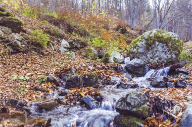 Bulgaristan 'daki dağda sonbahar nehri, Vitosha Dağı