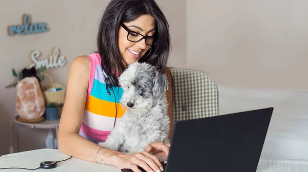 Piękna Kobieta Pracuje Domu Laptopem Jej Havanese Dog Podczas Covid — Zdjęcie stockowe