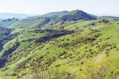 Bulgaristan 'da Yeşil Çayırlı Yaz Dağları. Rodop Dağları