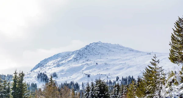 Bonita Paisagem Inverno Montanha Nevada Bulgária Vitosha Mountain — Fotografia de Stock