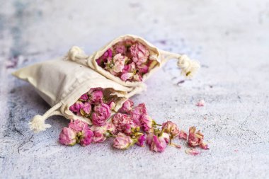 Flower tea rose buds on gray textured background with copy space