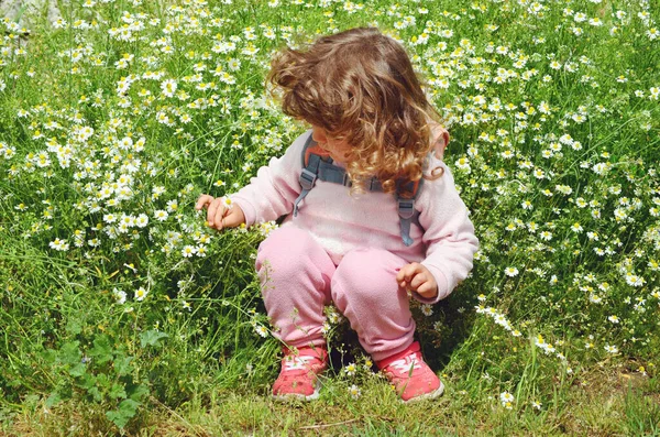 Niña Sentada Verde Jardín Verano Con Hierba Verde Flores Margarita — Foto de Stock