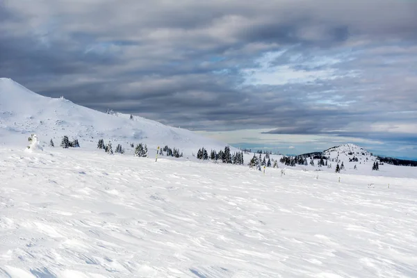 Krásná Zimní Zasněžená Horská Krajina Bulharska Vitosha Mountain — Stock fotografie