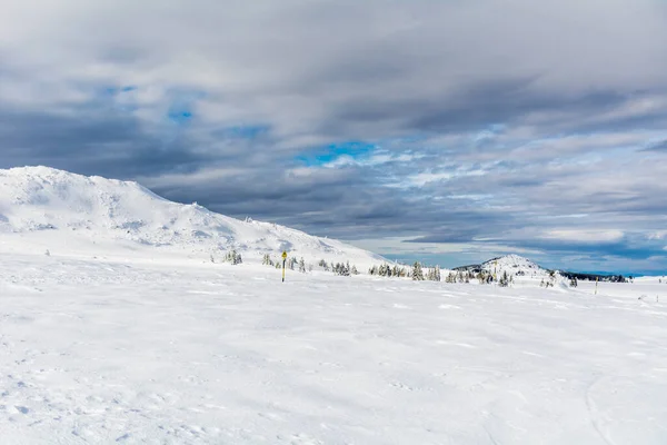 ブルガリアの美しい冬の雪の山の風景 ヴィトシャ山 — ストック写真