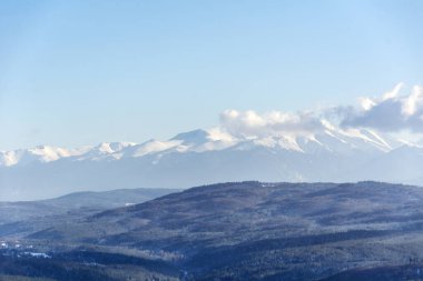 Bulgaristan 'dan Çam Ağaçları ve Vitosha Dağı' yla Güzel Karlı Dağ manzarası