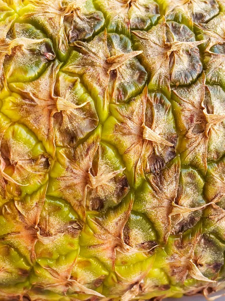 Ananas Listy Zavřít — Stock fotografie