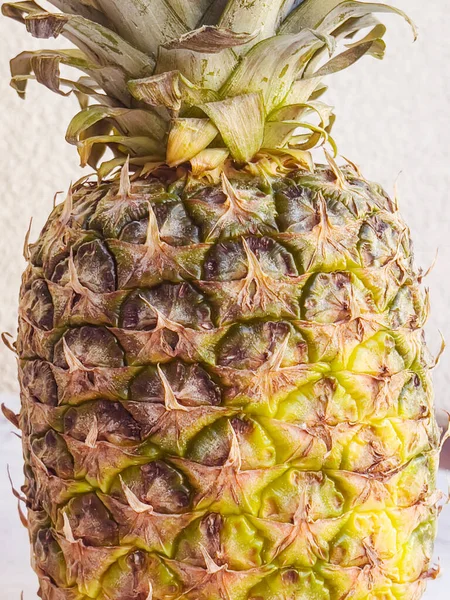 Ananas Listy Zavřít — Stock fotografie
