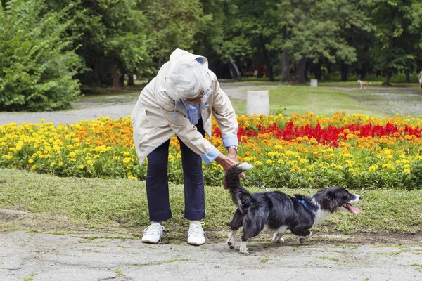 Mujer Mayor Paseo Con Perro Adoptivo Parque Verano Fuerte Perro — Foto de Stock