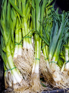 Süpermarkette bir sürü taze soğan