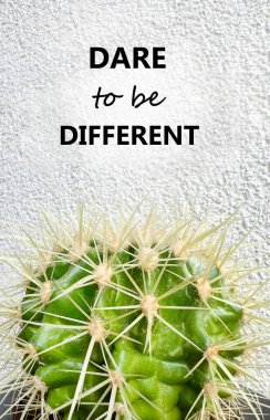 Yeşil kaktüs ile farklı alıntılar yapmaya cüret et.