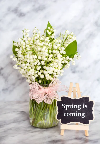 Lily Valley Flowers Váza Tavasz Jön Üzenet Tavaszi Üdvözlőlap Fehér — Stock Fotó